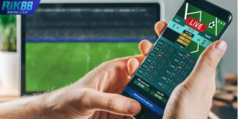 Giải đáp về loại kèo dành cho người mới bắt đầu Giải đáp về loại kèo dành cho người mới bắt đầu