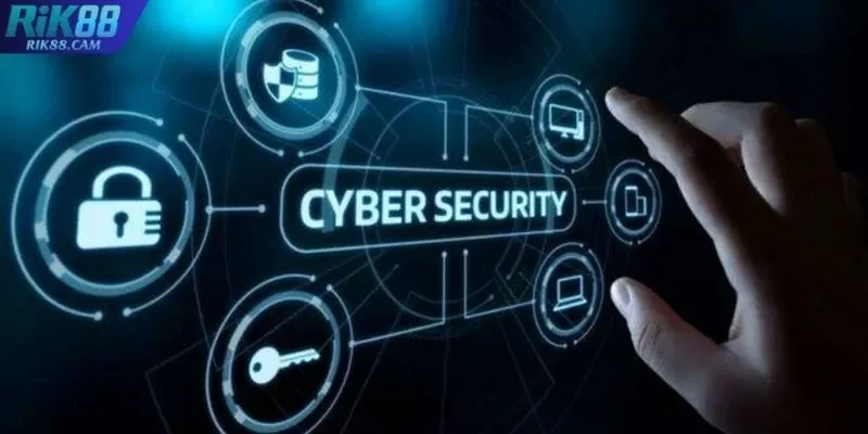 Cam kết tính hợp pháp hàng đầu Cam kết tính hợp pháp hàng đầu